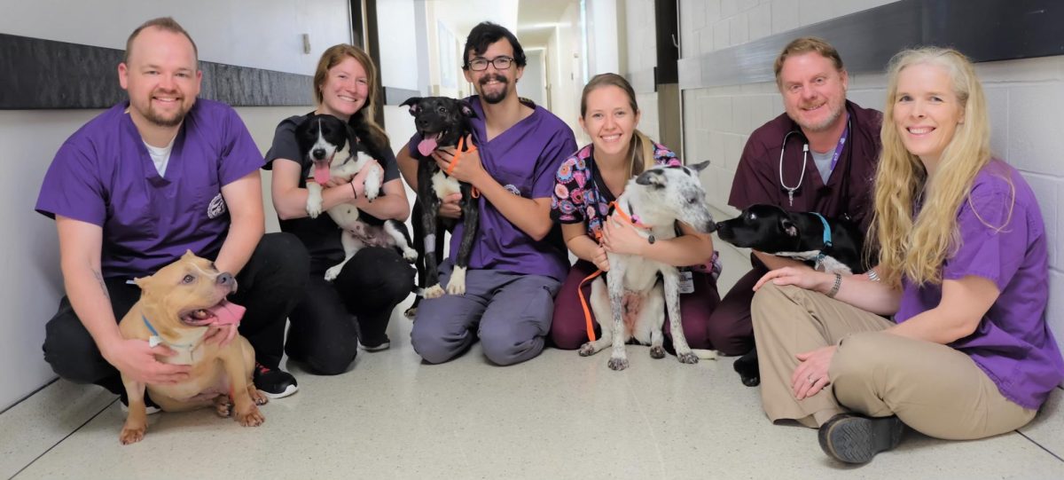A+team+of+K-State+veterinary+researchers+received+a+patent+for+their+canine+pain+medication.+%28Photo+Courtesy+of+Butch+KuKanich%29