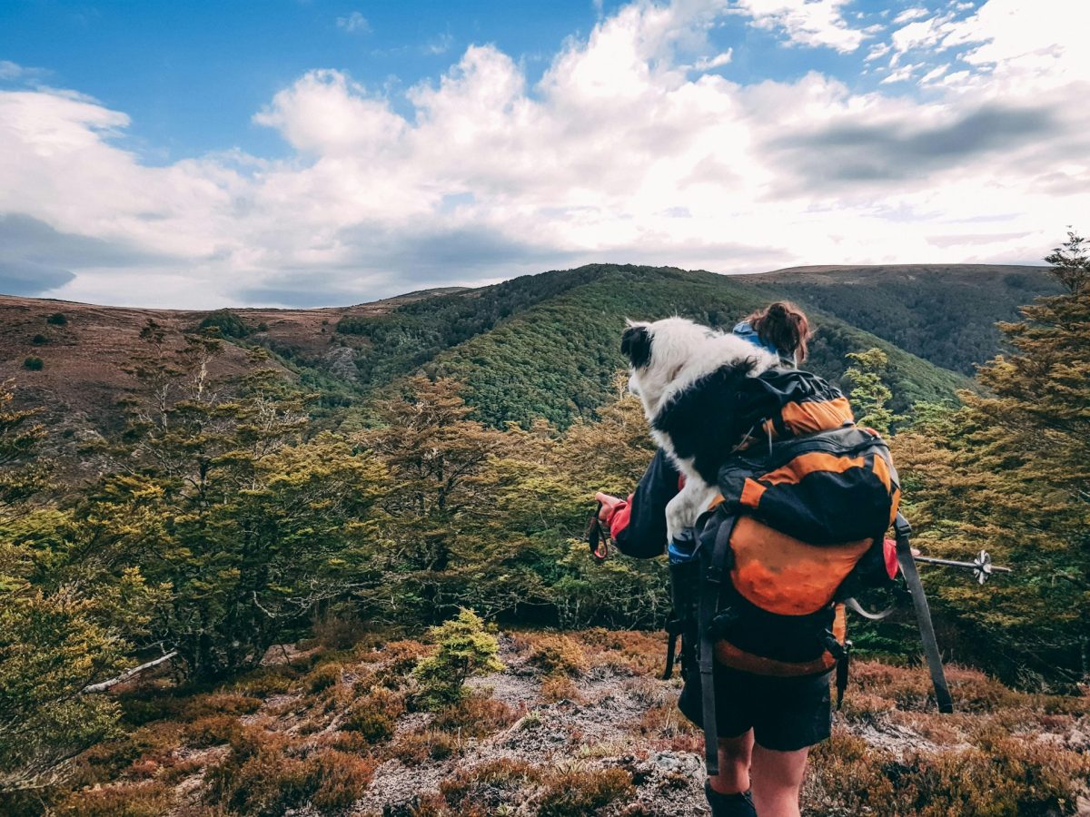 Use these 4 tips for an amazing hiking vacation