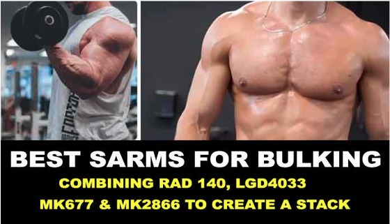 Best SARMS for Bulking and Lean Muscle Mass - Top SARM Stacks for Bodybuilding