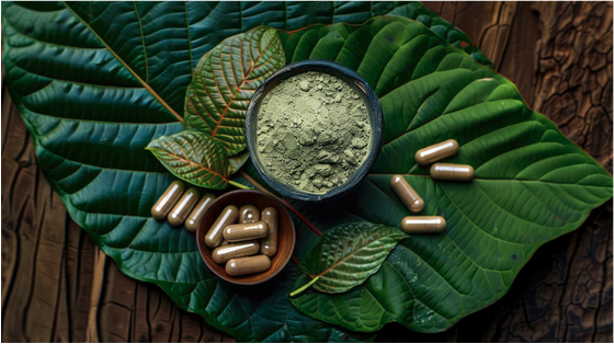 Best Kratom Capsules: Top Brand To Buy High-Quality Kratom Capsules