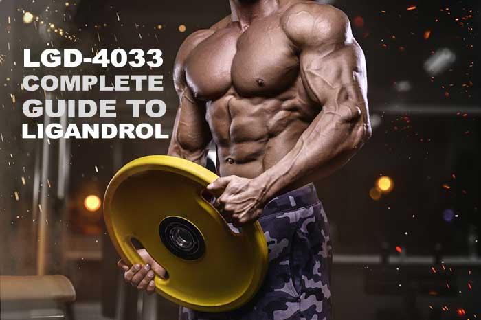 Legal LGD-4033 SARM for Bulking: Ligandrol LGD4033 Results, Dosage, Side Effects