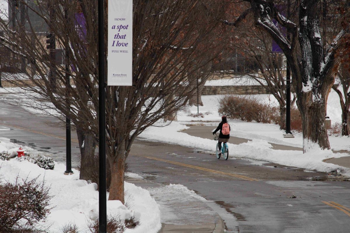 A student cycles on Kansas State's Manhattan campus on Wednesday, Feb. 12. 