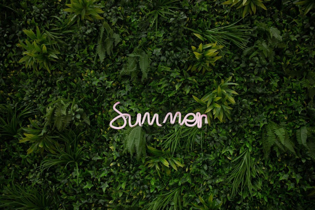 4 Great Ways to Spend Summer Break in 2025