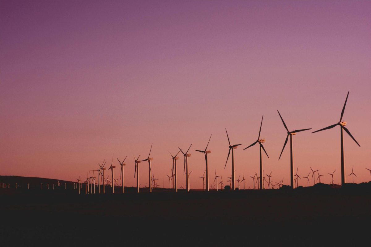 The Growing Demand for Specialized Talent in Renewable Energy