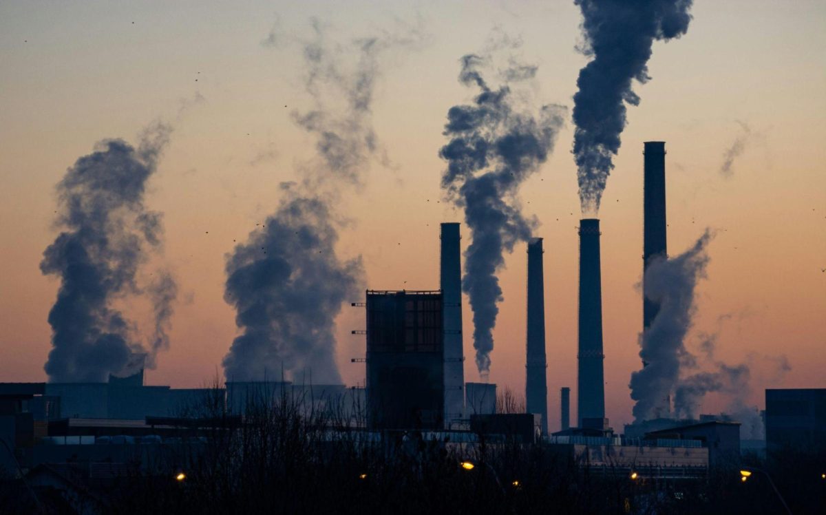 The Long-Term Effects of Environmental Toxins on Young Adults