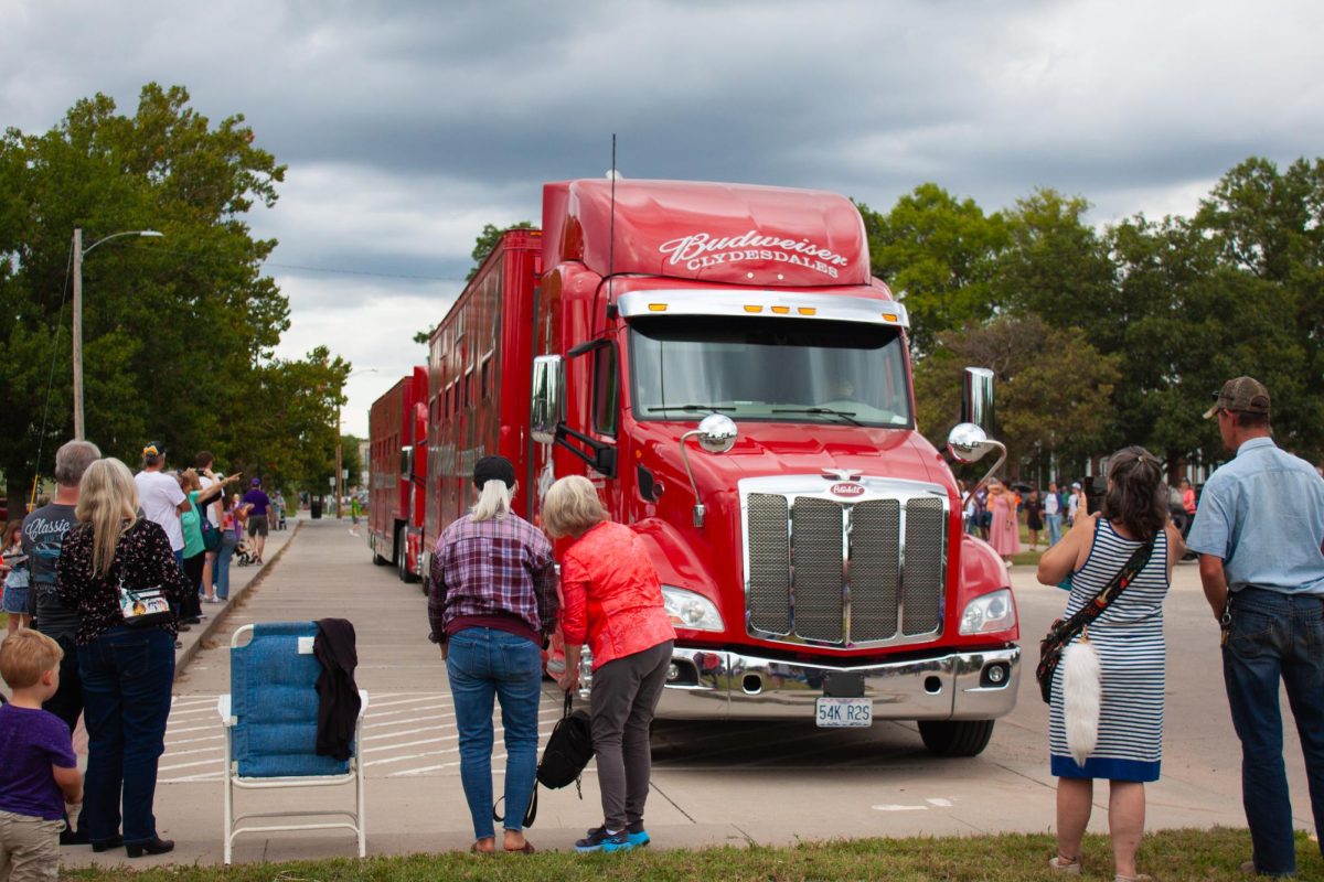 The community gathered in City Park to watch as the Budweiser Clydesdales were hitched to their carriage.