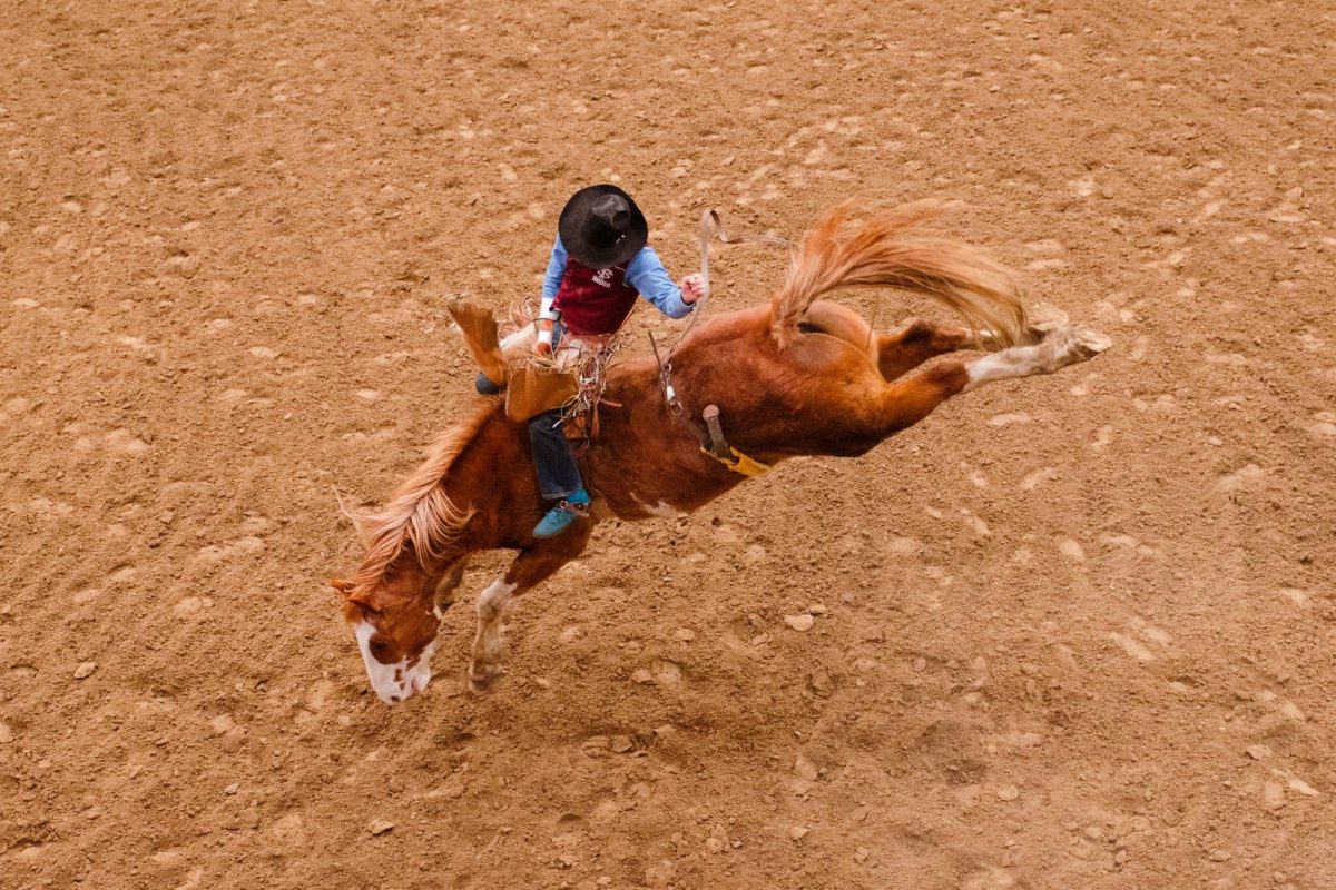 A bareback rider from the Fort Scott Community College Rodeo Team braces as he shoots for an 8 second ride during Day 1 of the K-State Rodeo on Feb. 19, 2026 at Bilbrey Arena. 