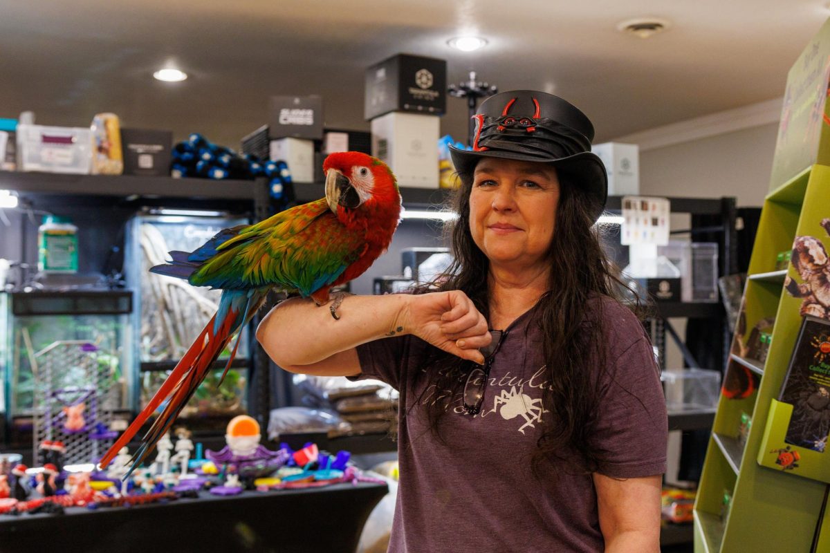 Cassie, a macaw at Eighth Element Exotics, rests with owner Amanda's arm, who cares for a variety of exotic animals at her shop. 