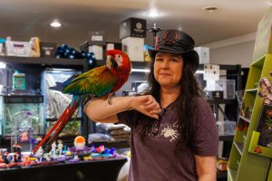 Cassie, a macaw at Eighth Element Exotics, rests with owner Amanda's arm, who cares for a variety of exotic animals at her shop. 