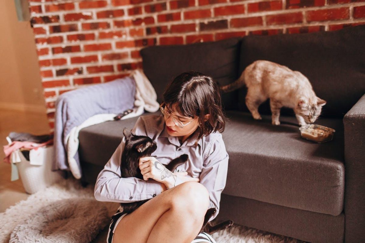 Toxoplasmosis: What Cat Owners Should Know