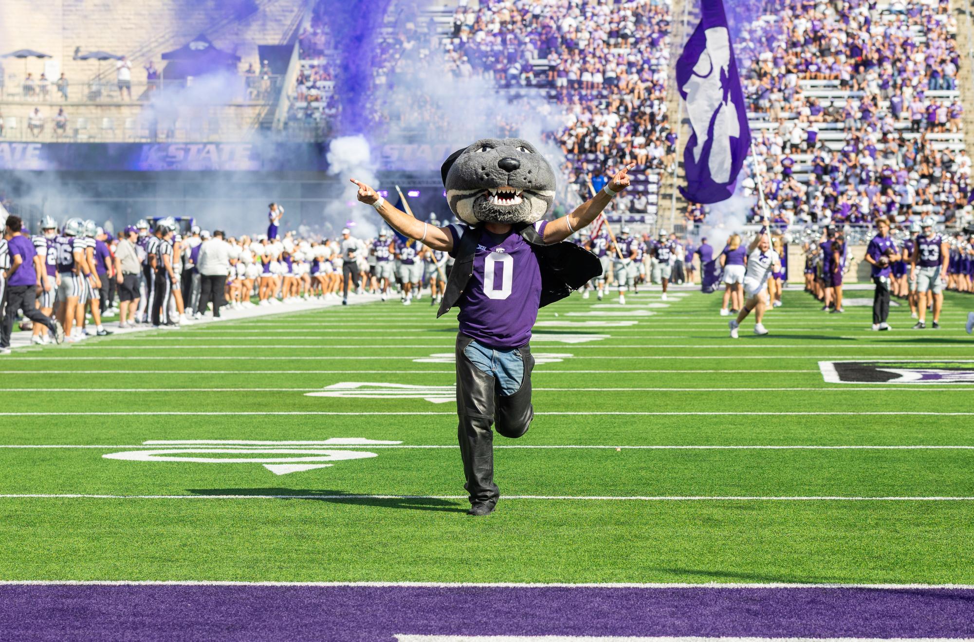 Willie runs onto the field with the team towards the crowd before facing Tulane. The Wildcats defeated Tulane 31-20 on Sept. 19 at Bill Snyder Family Stadium. 