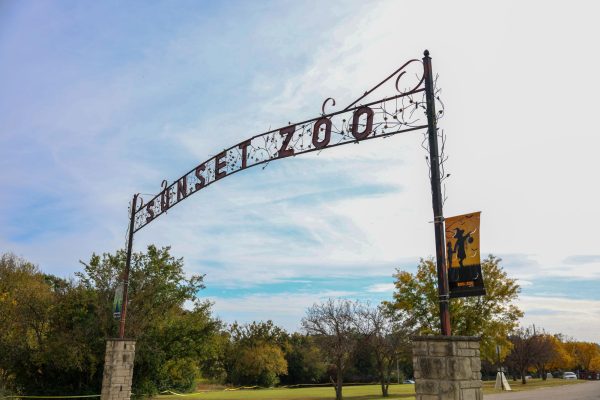 Navigation to Story: Sights from Boo at the Zoo