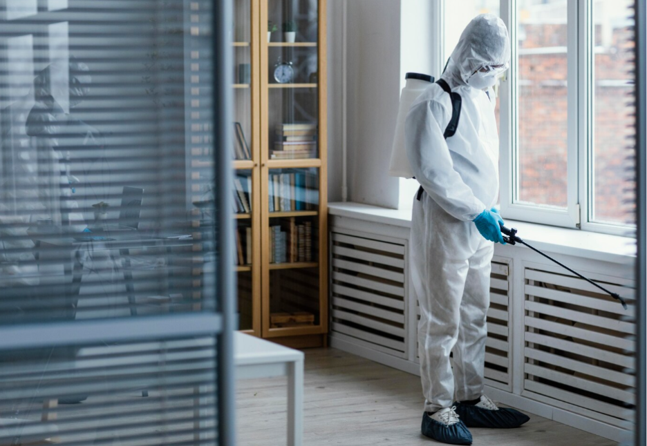 Effective Pest Control Methods Used By Experienced Exterminators